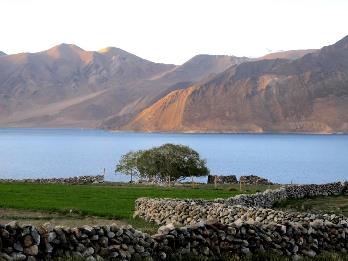 Pangong Delight Camps And Cottages Spangmik Luaran gambar