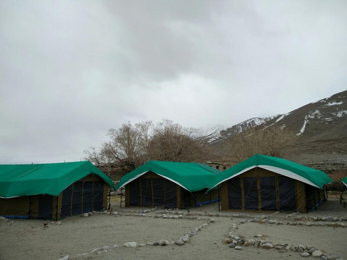 Pangong Delight Camps And Cottages Spangmik Luaran gambar