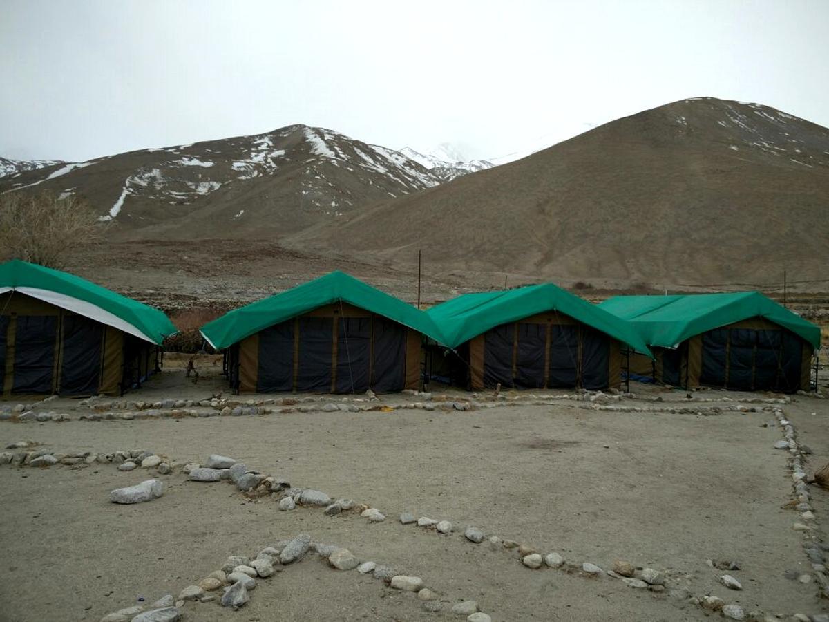 Pangong Delight Camps And Cottages Spangmik Luaran gambar
